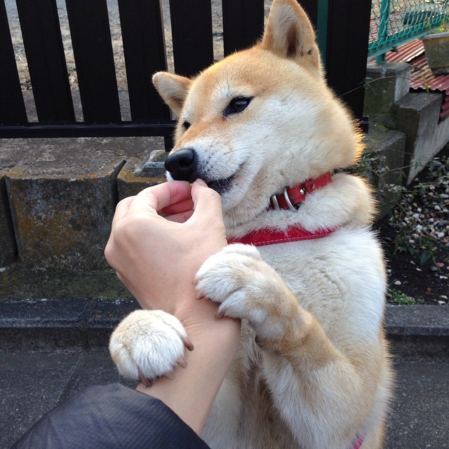 中国滑板运动员赴海外训练，提升国际竞争力，中国滑板国家队人员