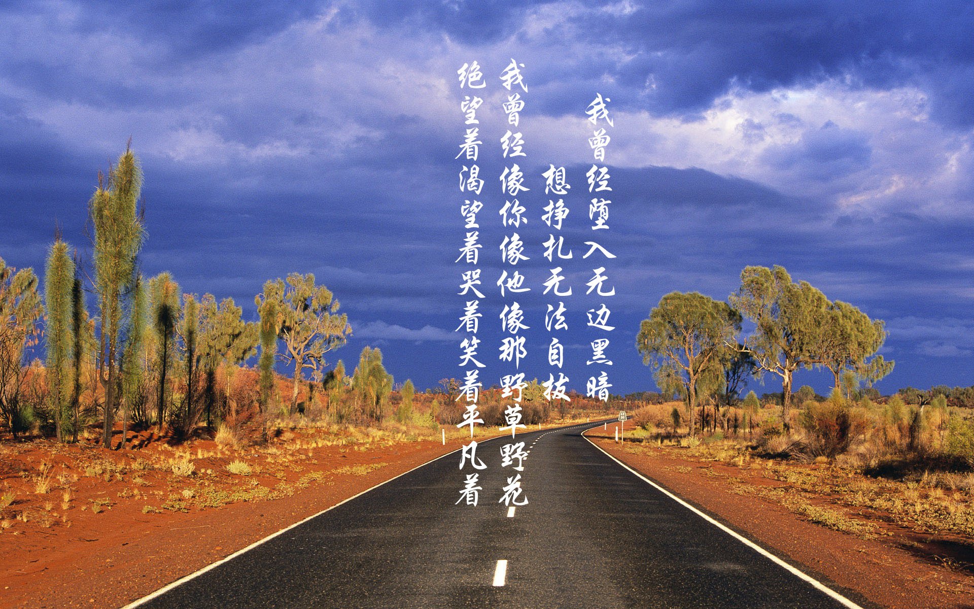 传统武道会，展现技艺的力量与美感，传统武术套路有哪些