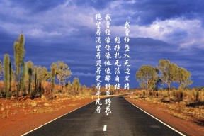 爱游戏ayx官网-传统武道会，展现技艺的力量与美感，传统武术套路有哪些